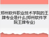 郑州软件职业技术学院的王牌专业是什么(郑州软件学院王牌专业)