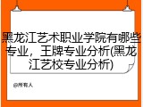 黑龙江艺术职业学院有哪些专业，王牌专业分析(黑龙江艺校专业分析)