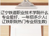 辽宁铁道职业技术学院什么专业最好，一年招多少人(辽铁职院热门专业招生数)