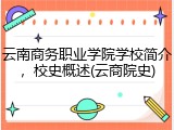 云南商务职业学院学校简介，校史概述(云商院史)