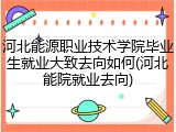 河北能源职业技术学院毕业生就业大致去向如何(河北能院就业去向)