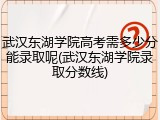 武汉东湖学院高考需多少分能录取呢(武汉东湖学院录取分数线)