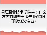 揭阳职业技术学院主攻什么方向有哪些王牌专业(揭阳职院优势专业)