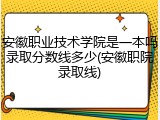 安徽职业技术学院是一本吗录取分数线多少(安徽职院录取线)