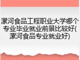 漯河食品工程职业大学哪个专业毕业就业前景比较好(漯河食品专业就业好)