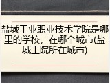 盐城工业职业技术学院是哪里的学校，在哪个城市(盐城工院所在城市)