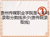 贵州传媒职业学院是一本吗录取分数线多少(贵传院录取线)