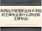 陕西经济管理职业技术学院的王牌专业是什么(陕经院王牌专业)