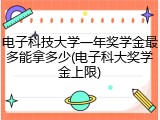 电子科技大学一年奖学金最多能拿多少(电子科大奖学金上限)