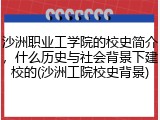 沙洲职业工学院的校史简介，什么历史与社会背景下建校的(沙洲工院校史背景)