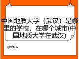 中国地质大学（武汉）是哪里的学校，在哪个城市(中国地质大学在武汉)