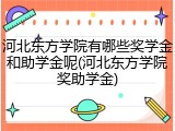 河北东方学院有哪些奖学金和助学金呢(河北东方学院奖助学金)