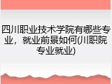 四川职业技术学院有哪些专业，就业前景如何(川职院专业就业)
