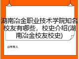 湖南冶金职业技术学院知名校友有哪些，校史介绍(湖南冶金校友校史)