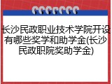 长沙民政职业技术学院开设有哪些奖学和助学金(长沙民政职院奖助学金)