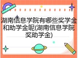 湖南信息学院有哪些奖学金和助学金呢(湖南信息学院奖助学金)