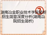 湖南冶金职业技术学院最新招生简章深度分析(湖南冶院招生简析)