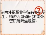 湖南外贸职业学院有多少学生，师资力量如何(湖南外贸职院师生规模)