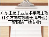 广东工贸职业技术学院主攻什么方向有哪些王牌专业(工贸职院王牌专业)