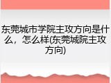 东莞城市学院主攻方向是什么，怎么样(东莞城院主攻方向)