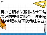 民办合肥滨湖职业技术学院最好的专业是哪个，详细阐述(合肥滨湖职院最佳专业)