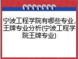 宁波工程学院有哪些专业，王牌专业分析(宁波工程学院王牌专业)