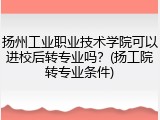 扬州工业职业技术学院可以进校后转专业吗？(扬工院转专业条件)