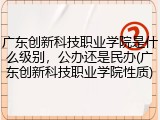 广东创新科技职业学院是什么级别，公办还是民办(广东创新科技职业学院性质)