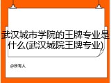 武汉城市学院的王牌专业是什么(武汉城院王牌专业)