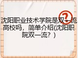 沈阳职业技术学院是双一流高校吗，简单介绍(沈阳职院双一流？)