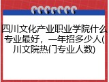 四川文化产业职业学院什么专业最好，一年招多少人(川文院热门专业人数)