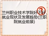 兰州职业技术学院好不好，就业现状及发展趋势(兰职院就业前景)