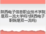 陕西电子信息职业技术学院是双一流大学吗?(陕西电子职院是双一流吗)
