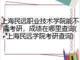 上海民远职业技术学院能不能考研，成绩在哪里查询(上海民远学院考研查询)