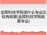 金陵科技学院读什么专业比较有前景(金陵科技学院前景专业)