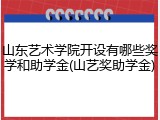 山东艺术学院开设有哪些奖学和助学金(山艺奖助学金)