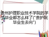 贵州护理职业技术学院的学生毕业都怎么样了("贵护院毕业生去向")