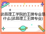 武昌理工学院的王牌专业是什么(武昌理工王牌专业)