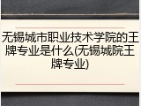 无锡城市职业技术学院的王牌专业是什么(无锡城院王牌专业)