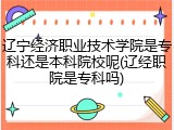 辽宁经济职业技术学院是专科还是本科院校呢(辽经职院是专科吗)