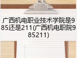 广西机电职业技术学院是985还是211(广西机电职院985211)