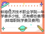 蚌埠经济技术职业学院一年学费多少钱，还有哪些费用(蚌埠职院学费及费用)