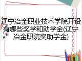辽宁冶金职业技术学院开设有哪些奖学和助学金(辽宁冶金职院奖助学金)