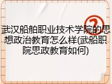 武汉船舶职业技术学院的思想政治教育怎么样(武船职院思政教育如何)