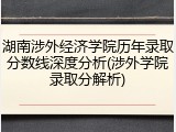 湖南涉外经济学院历年录取分数线深度分析(涉外学院录取分解析)