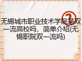 无锡城市职业技术学院是双一流高校吗，简单介绍(无锡职院双一流吗)