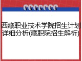 西藏职业技术学院招生计划详细分析(藏职院招生解析)