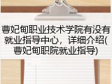 曹妃甸职业技术学院有没有就业指导中心，详细介绍(曹妃甸职院就业指导)