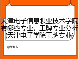 天津电子信息职业技术学院有哪些专业，王牌专业分析(天津电子学院王牌专业)