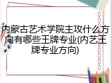 内蒙古艺术学院主攻什么方向有哪些王牌专业(内艺王牌专业方向)